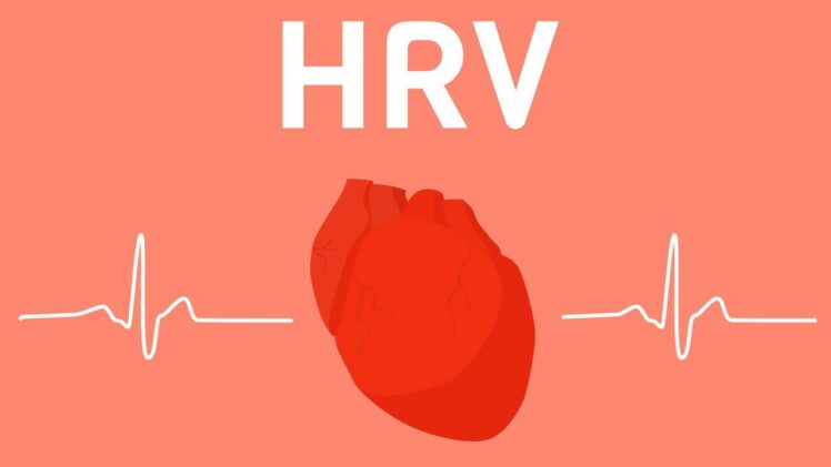 What Does HRV Mean? What Can Heart Rate Variability Tell Us About Our mental health?.jpg