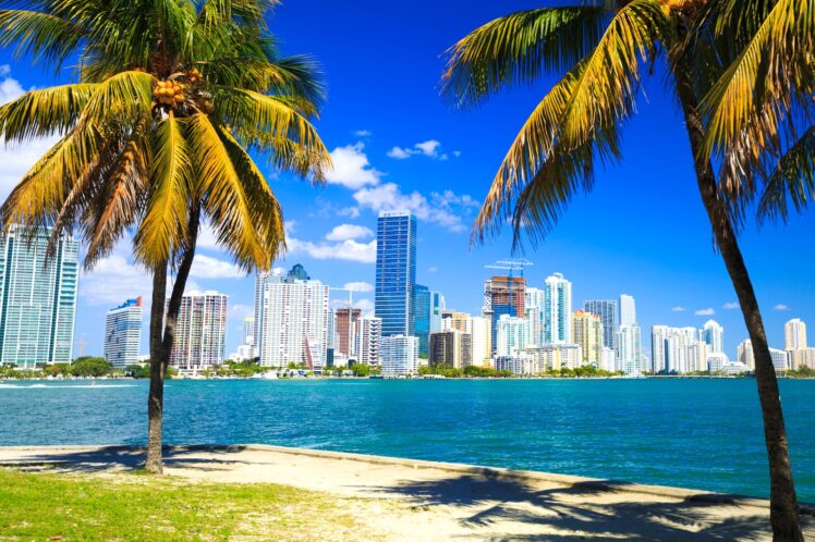 Top 6 Best Views in Miami
