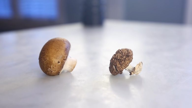 What are the healthiest dried mushrooms